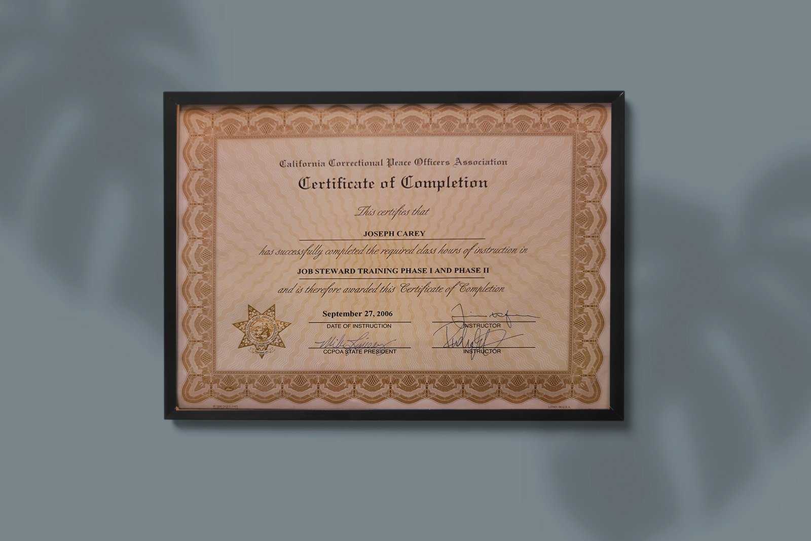 Job Steward Certificate